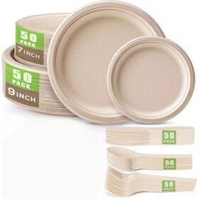Adrinfly 313106250249 250-pieces Compostable Disposable Plates And Utensils Set Eco-friendly Dinnerwa