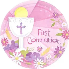 Amscan 048419740254 Pl 7 Inch Md Ct 1st Communion Pink 18 Plates
