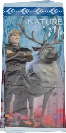 572087 Amscan Disney Frozen 2 Plastic Table Cover - 54 Inch X 96 1 Multi Color