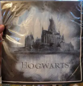 712871 Amscan Hogwarts Harry Potter Wizarding World Kids Birthday Party Paper Luncheon Napkins