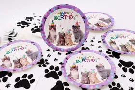 Amzptboy 717373402729 Cat Birthday Party Supplies And Decorations For 20 Guest Kitten Dispos