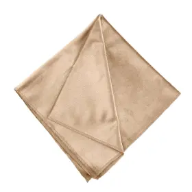 Balsa Circle Chmp 002 Champagne Premium Velvet Napkins 10 Pcs 20x20-inch For Wedding Party Home Eve