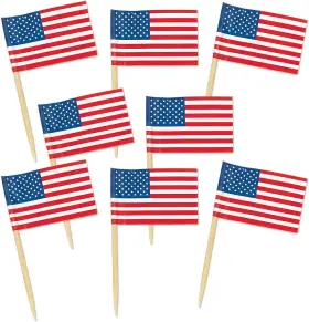 60100 Beistle Packaged U S Flag Picks