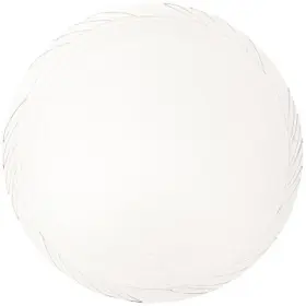 Blue Sky 729940007893 Clear Plastic Dinner Collection Plates 10 Inch 40 Count - Perfectly Size