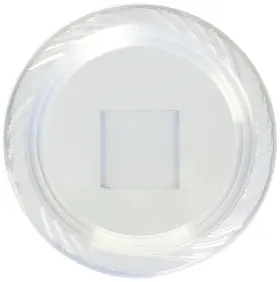Blue Sky Trading 729940007879 Clear Plastic Dinner Collection Salad Plates 7 Inch 40 Count - Perfectly Sized