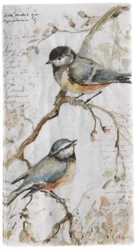 Boston International 686423654992 Ihr 3-ply Paper Napkins 16-count Guest Size Happy Little Titmice Boston International 686423654992 Ihr 3-ply Paper Napkins 16-count Guest Size Happy Little Titmice