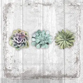 Boston International 686423658846 Ihb 3-ply Paper Napkins 5 Inch X Succulents Still