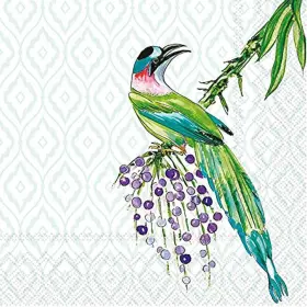 Boston International 686423659157 Ihr Ideal Home Range Cocktail Napkins Rosanne Beck Disposable 3-ply Paper Par