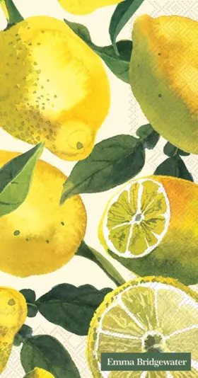 Boston International 686423674358 Ihr 3-ply 16-count Guest Towel Buffet Paper Napkins 8.5 X 4.5-inches Lemons