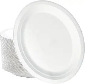 E-ovalpaperplate-90pc Branded 90 Pack Compostable Oval Paper Plates 12.5 Inch Sugarcane Dinner Lar