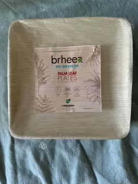 107-50 Brhee Palm Leaf Plates Disposable Bamboo 10 Inch Square Party Pack Of 25