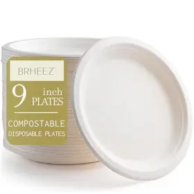 Brheez 045918394575 9 Inch Disposable Plates Paper Alternative Compostable Heavy Dut