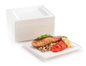 Brheez 045918394926 8 Inch Disposable Plates Paper Alternative Compostable Heavy Duty