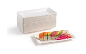 Brheez 045918394964 10 X 5 Inch Heavy Duty Rectangular Disposable Serving Plates/platters