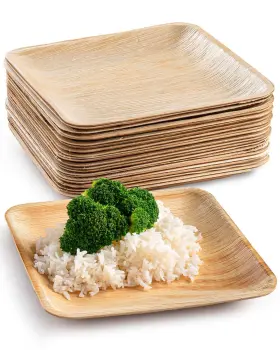 Brheez 666628809236 Palm Leaf Plates 100 Ct 8 Inch - Eco Friendly Compostable And Biodegradable