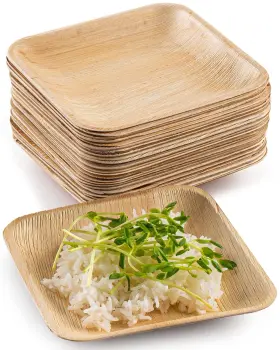 Brheez 666628809243 Palm Leaf Plates 100 Ct 6 Inch - Eco Friendly Compostable And Biodegr