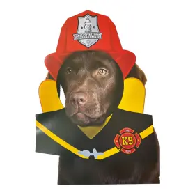 C. R. Gibson 009292681188 Pet Party Firefighter Head Prop Dog Birthday Photo Decoration 12 Inch X 14.5