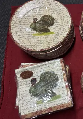 Caspari 025096555838 21 Pkgs Of 8 Thanksgiving Turkey Paper Dinner Plates 10.5 Inch Huge Lot