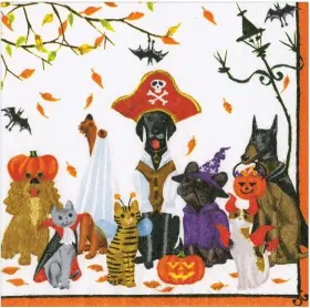 18800el Caspari Recycled Paper Luncheon Napkins Halloween Pets - 2 Packs