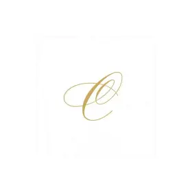 2900cg.c Caspari Entertaining With White Pearl Paper Linen Cocktail Napkins Monogram Initial C