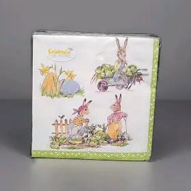 C726160-40 Celebrate The Home Easter Napkins Spring Party Decor Peter Rabbit Gatden Bunnies. New