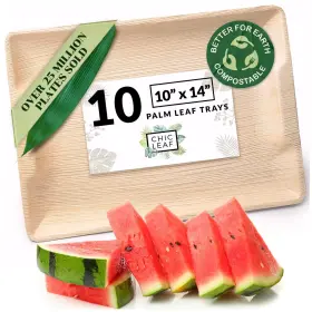 Chic Leaf 850020331185 100% Compostable Palm Trays Like Disposable Bamboo Serving Tray And Plat