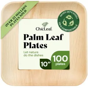 Chic Leaf 850020331628 Palm Disposable Bamboo Plates - Square Party For Weddings Partie