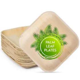 6-25ct Concession Essentials 6 Inch Square Palm Leaf Plates. Eco Friendly Dinnerware. Pack Of 25