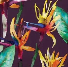 332657 Creative Converting Elise Bold Tropics 3 Ply Lunch Napkins Paper 16 Pack 6.5 Inch X Tropical