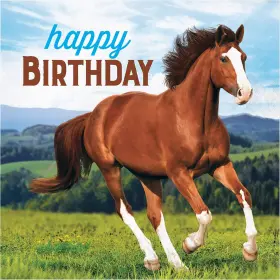 339763 Creative Converting Wild Horse Happy 1 Count Pack Of 16 Multi-colored