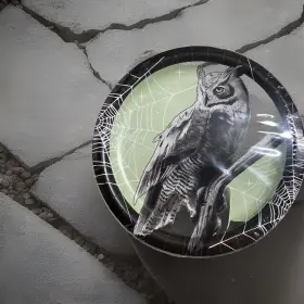 359396 Creative Converting Party Creations Owl Spider Webs Dessert Cake 7 Inch Plates 48 Total