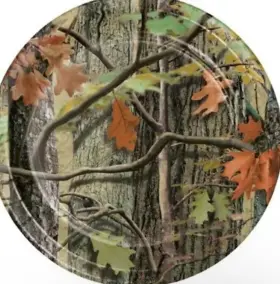 415676 Creative Converting Hunting Camo 7 Inch Paper Plates 8 Per Pack Camouflage Birthday Party Tableware