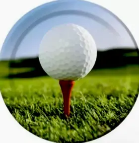 427965 Creative Converting Sports Fanatic Golf 9 Inch Plates 8 Pack Birthday Party Decorations