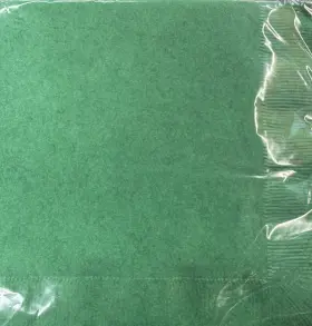 58112b Creative Converting Emerald Green 50ct. 3-ply Paper Lunch Napkins 12-7/8 Inch Party Supply Tableware