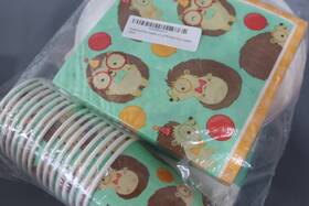 Creative Converting 793897142006 Party Supplies Hedgehog Dinner Plates And Luncheon Napkins For 16 Guests