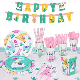 Decorlife 882807570845 Llama Birthday Party Supplies Serves 16 Decorations For G