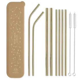 2-smooth Designworks Ink 840111501733 Reusable Stainless Steel Straws With Case - Includes 2-bendy