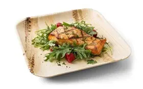 Eco Craft Stix 810094845797 Palm Leaf Compostable 10 Inch Square Dinner Plates. Pack Of 50 Count. 100% Natura