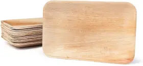 Eco Craft Stix 810094845810 Palm Leaf Plates 6x9 Inch Rectangle Tray. Pack Of 50 Count.plate Earth-friend