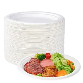 Ecolipak 748250885267 100% Compostable 10 Inch Paper Plates 150 Pack Heavy Duty Disposab