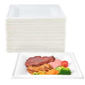 Ecolipak 748250885403 150 Pieces Compostable Square Paper Plates 10 Inch Heavy Duty Disposable