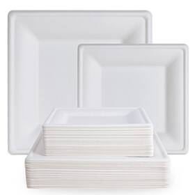 Ecolipak Khlxl-b103 120 Pack Compostable Paper Plates 10 Inch And 8 Heavy Duty Eco Friendly