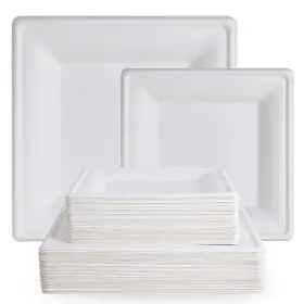 Khlxl-b103 Ecolipak 120 Pack Compostable Paper Plates 10 Inch And 8 Heavy Duty Eco Friendly