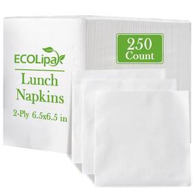 Ecolipak Pnsq-13 Lunch Napkins Bulk 250 Count Everyday Paper 6.5 White