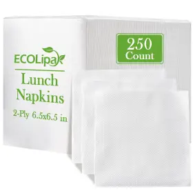 Pnsq-13 Ecolipak Lunch Napkins Bulk 250 Count Everyday Paper 6.5 White