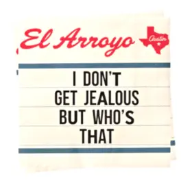 Nap0040 El Arroyo 5 Inch X5 I Donftt Get Jealous But Who Is That 25 Napkins New Fun