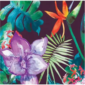 Elise 672458268426 Cocktail Napkins Luau Party Hawaiian Decorations Paper 5 X Inch
