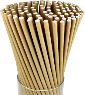 Famaston 810030610052 150pack Craft 100% Compostable Brown Paper Straws Ecofriendly Biodegradable Drin