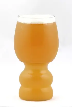 Fermented Reality 867915000019 Bcups Ipa Outdoor Plastic Craft Beer Cups Bpa And Bpsfree 4pack