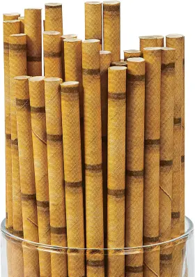 13686159 Fun Express Disposable Paper Straws Printed With A Realistic Bamboo Design Great For Parti
